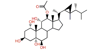 Gorgostane-1,3,5,6,11,12-hexol 12-acetate